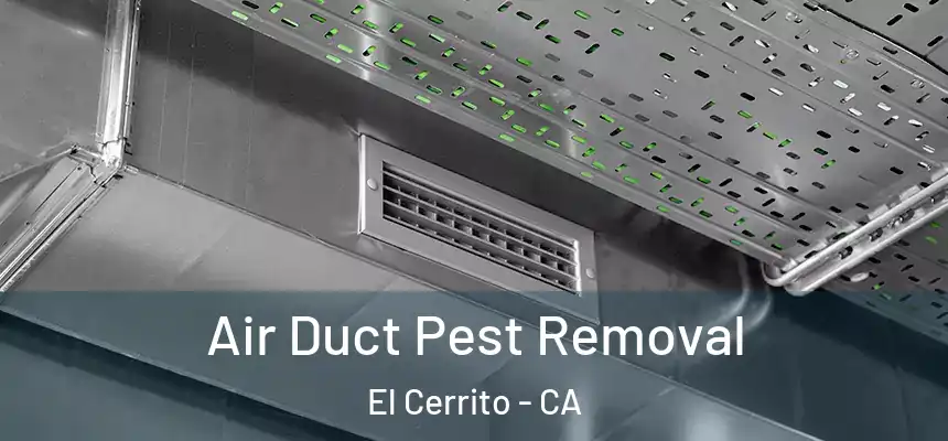  Air Duct Pest Removal El Cerrito - CA