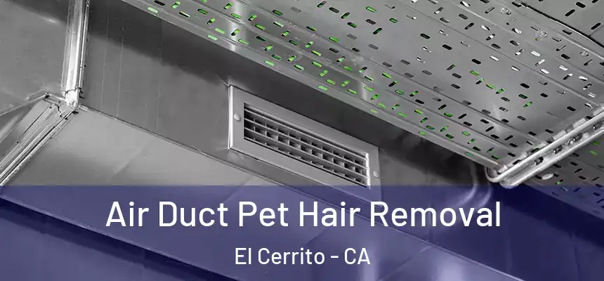  Air Duct Pet Hair Removal El Cerrito - CA