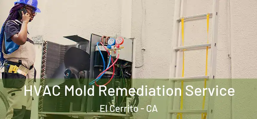  HVAC Mold Remediation Service El Cerrito - CA