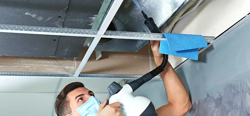 Our Air Duct Rodent Removal Services in El Cerrito, CA