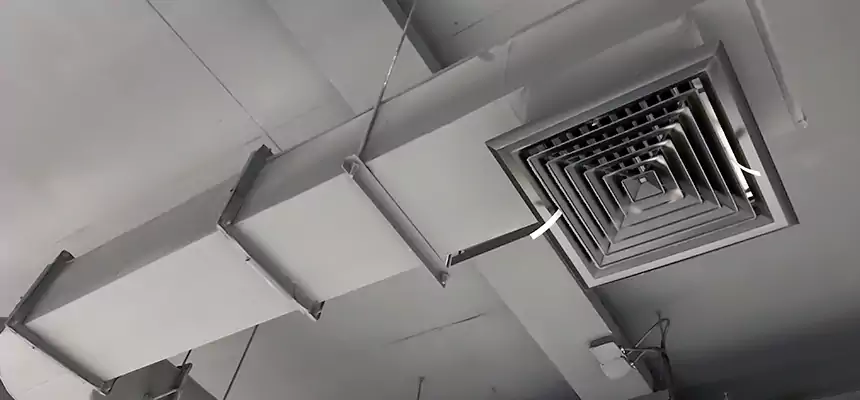 Our Pest Removal From Ducts Services in El Cerrito, CA