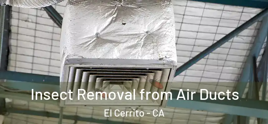 Insect Removal from Air Ducts El Cerrito - CA