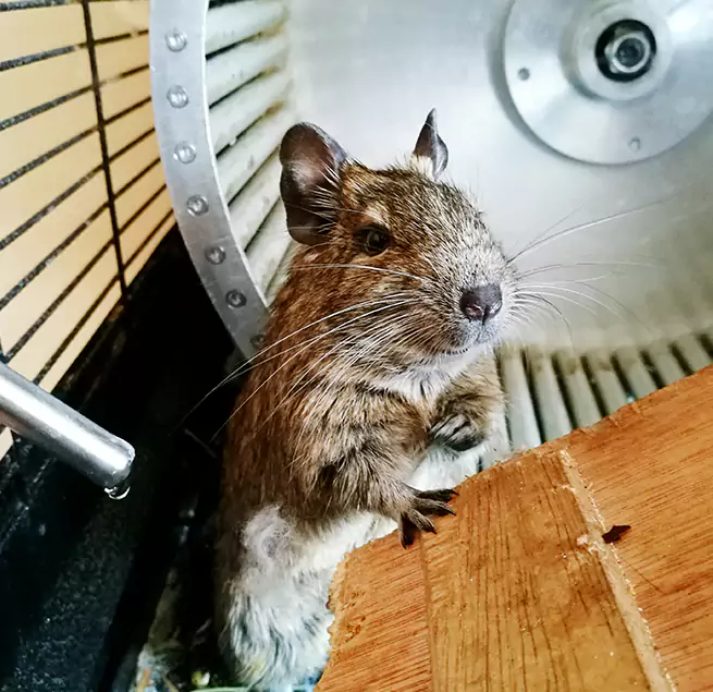 Why Homeowners & Businesses Trust Us El Cerrito, CA?