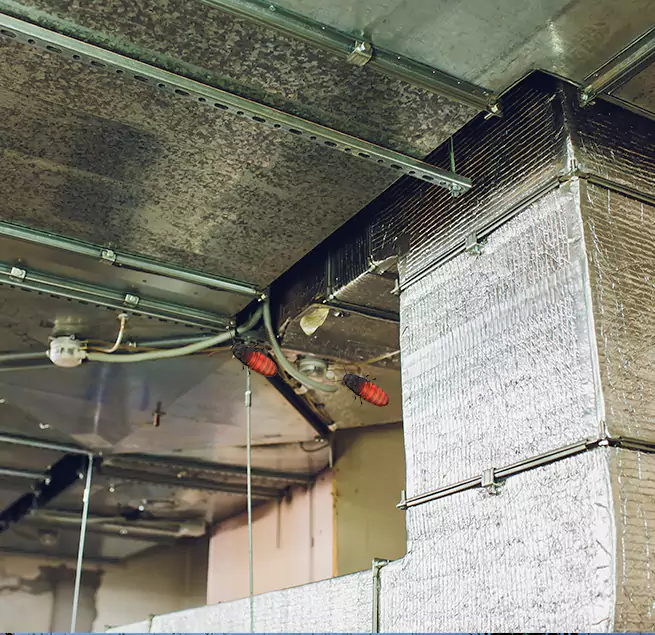 Why Homeowners & Businesses Trust Us El Cerrito, CA?